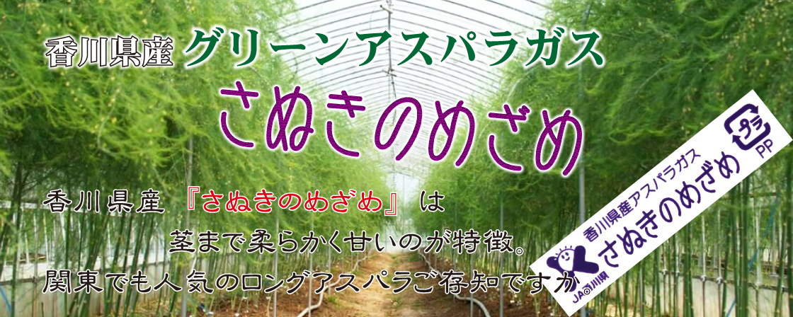 さぬきのめざめ・２