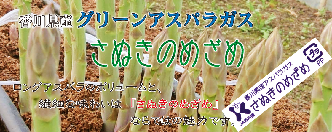さぬきのめざめ・３