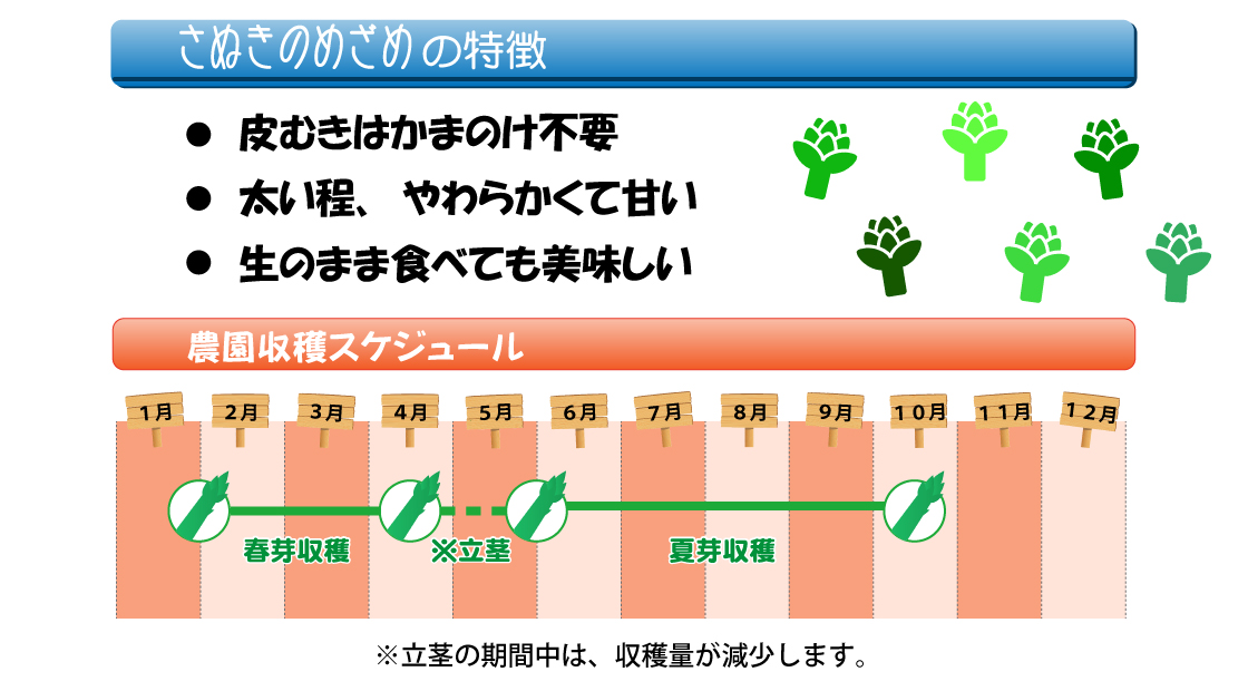 さぬきのめざめ